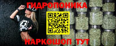 СК Можга