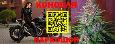 PSILOCYBIN Малоярославец