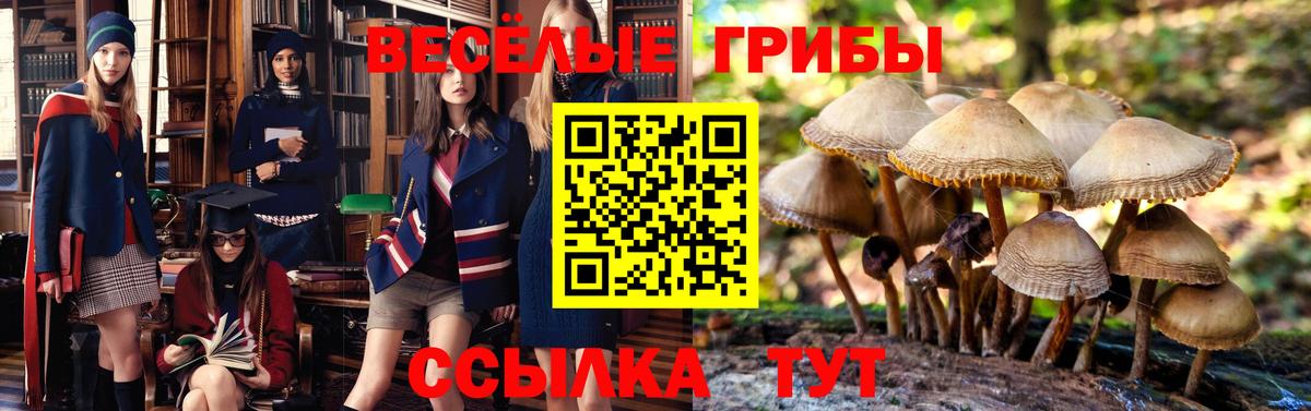 наркотики  Псилоцибиновые грибы MAGIC MUSHROOMS  Вход с VPN  Галлюциногенные грибы прущие грибы  Урюпинск 